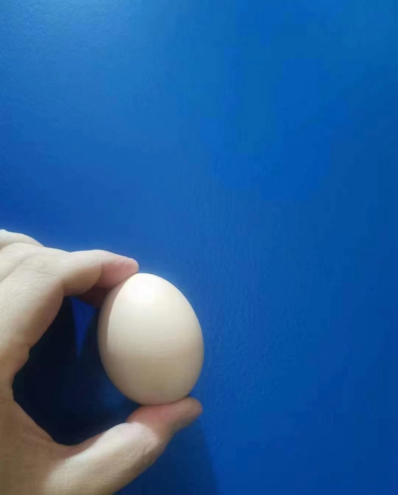 蛋壳光中欧体育(zoty)09