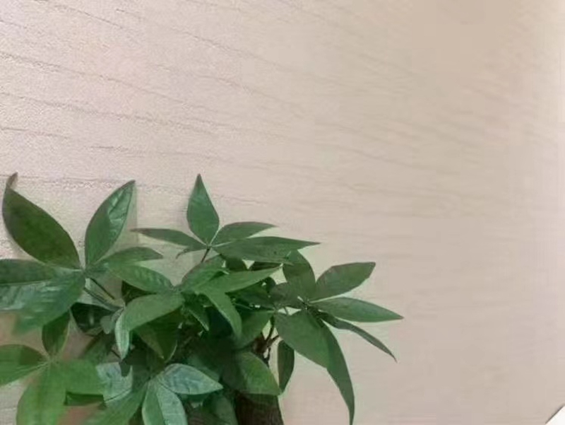 米洞石中欧体育(zoty)01